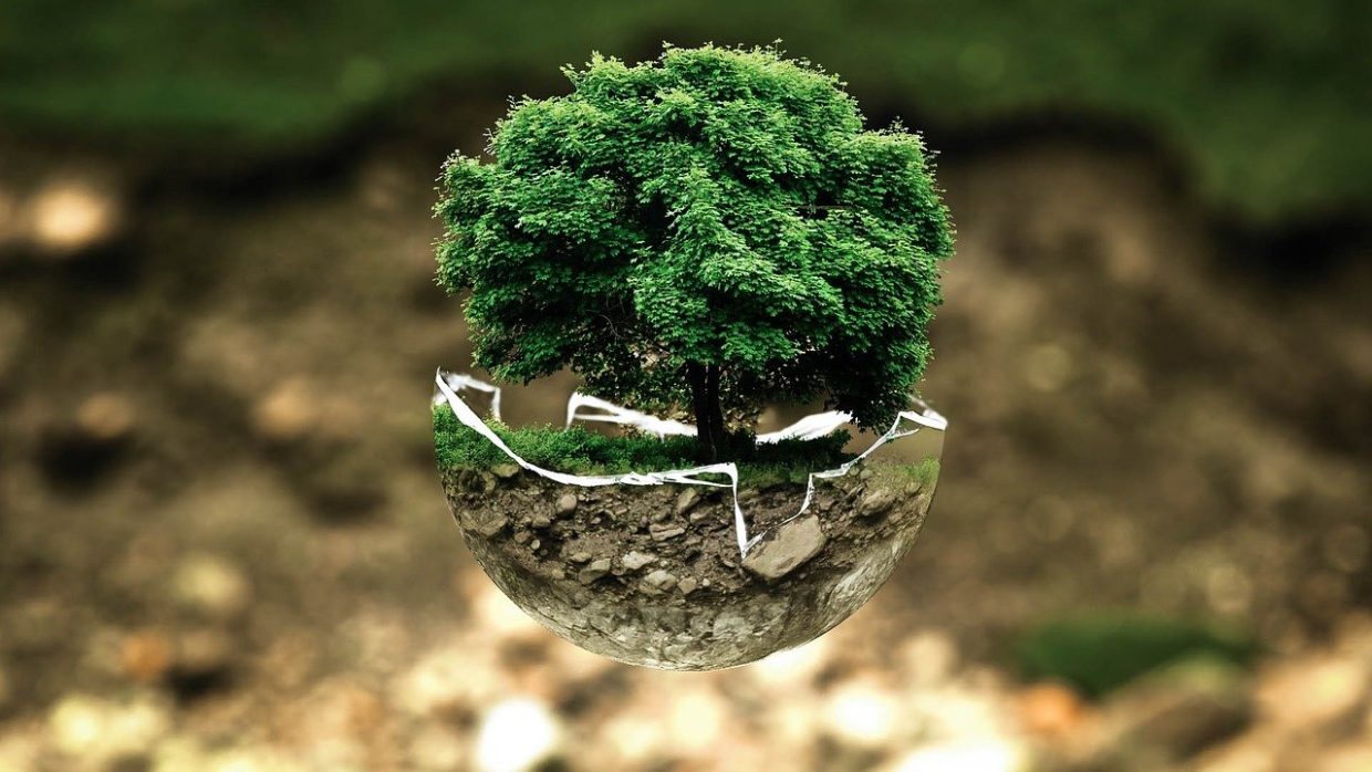 An image about protecting the earth-Environmental-protection