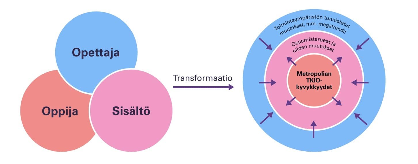 Suljetun kolmion tekijät ovat opettaja, oppija ja sisältö. Avoimessa systeemissä on huomioituna osaamistarpeet ja niiden muutokset sekä toimintaympäristön muutokset.