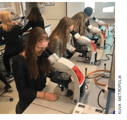 Students sitting by microscopes studying.