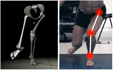 Ihmisen koukistetut jalat ja niiden 3D-malli