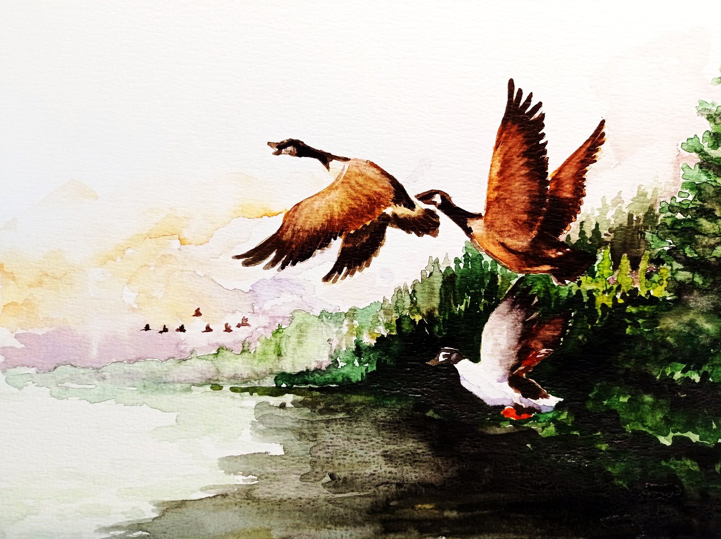 Jenna Tonterin akvarellimaalaus, jossa teemana on muuttuva luonnon monimuotoisuus.