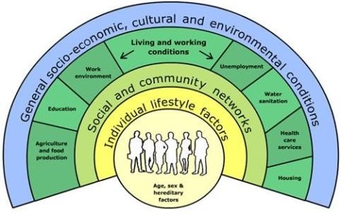 Kuva 1. Sosioekologinen malli, (Dalhgren & Whitehead 1991). 