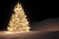 Valaistu joulukuusi pimeässä lumisessa rinteessä.
