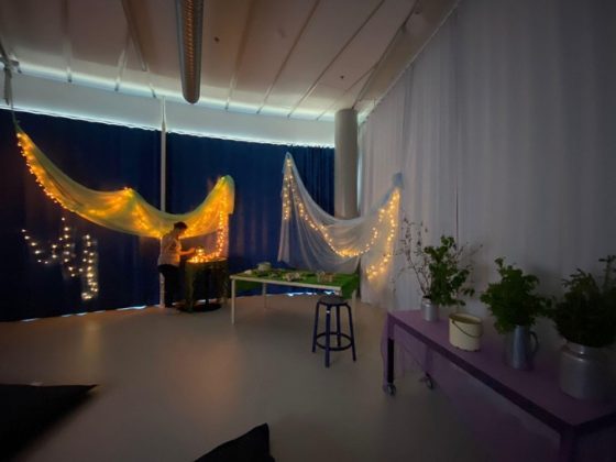 Valoin, kasvein ja kankain metsäksi muokattu luokkahuone