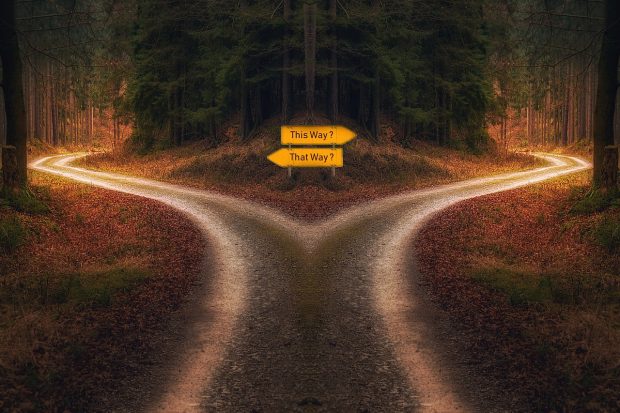 Maalauksellinen, tummansävyinen tie, joka haarautuu kahtia, keskellä kuvaa tienviitat jossa englanniksi tekstit This way? That way?