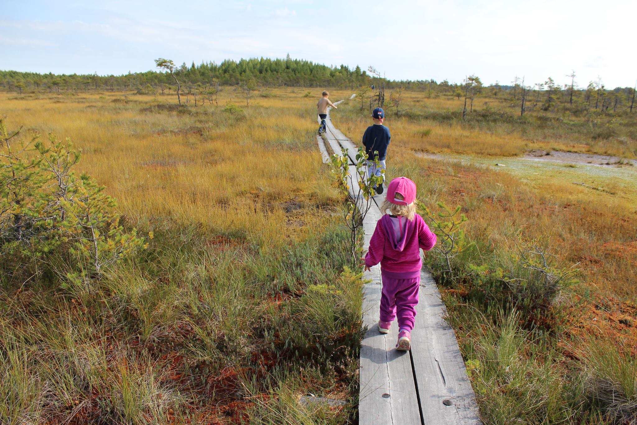 Vilma Kavakko Blogi 2