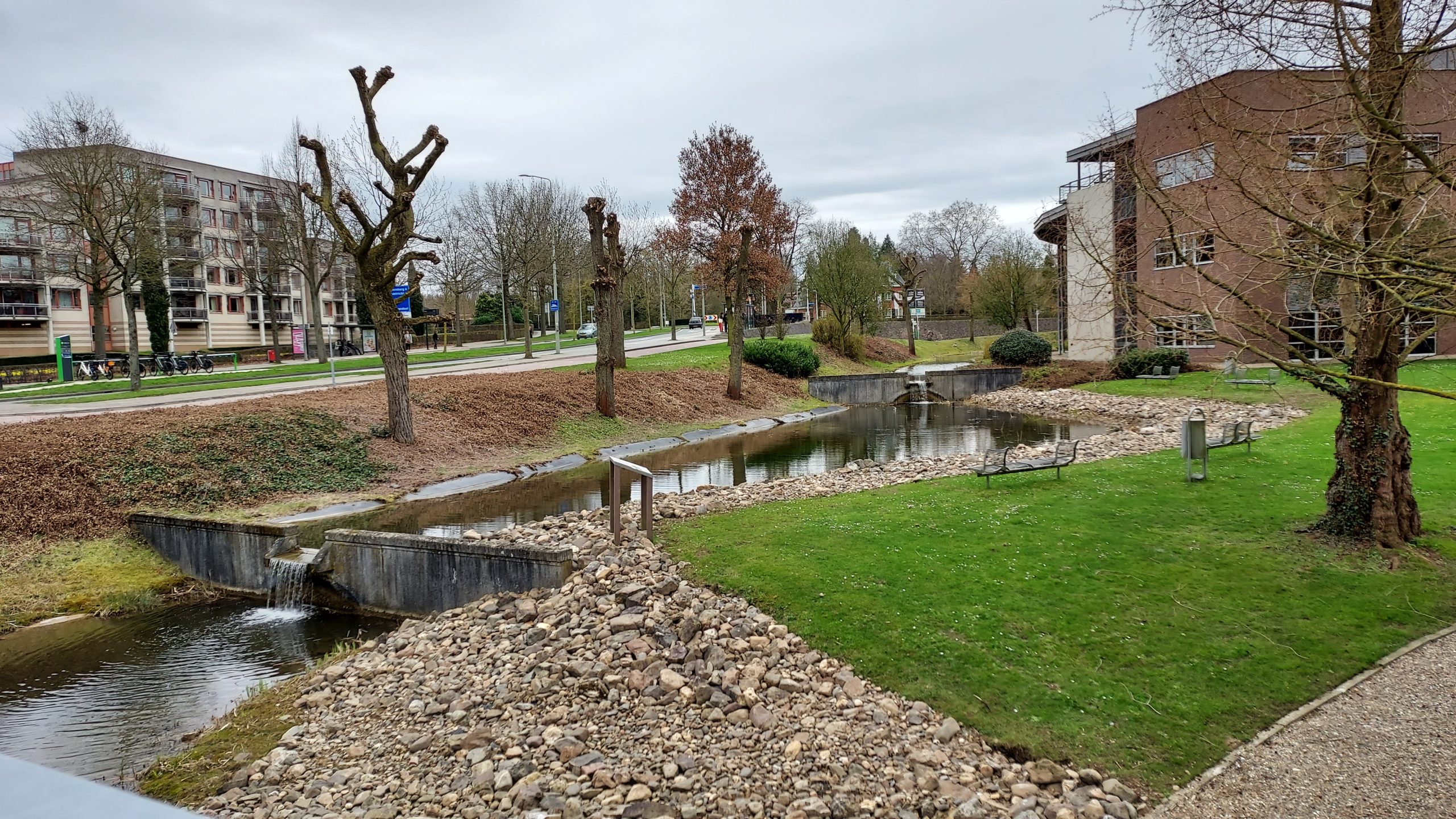 Campus building yard, with water, trees, pathways.